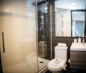 Shower, hair dryer, towels, soap - General Bulnes 259 (Santiago)