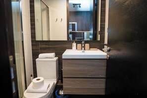 Buồng tắm vòi sen, máy sấy tóc, khăn tắm, xà phòng 