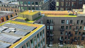 Un edificio moderno con jardín en la azotea, un patio con asientos y una terraza de madera.