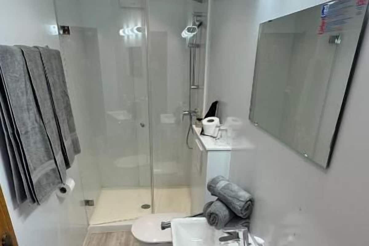 A bathroom with a glass-enclosed shower, a toilet, a sink with a mirror, and a towel rack.