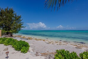 Ein Strand mit klarem türkisblauem Wasser, weißem Sand und grüner Vegetation.
