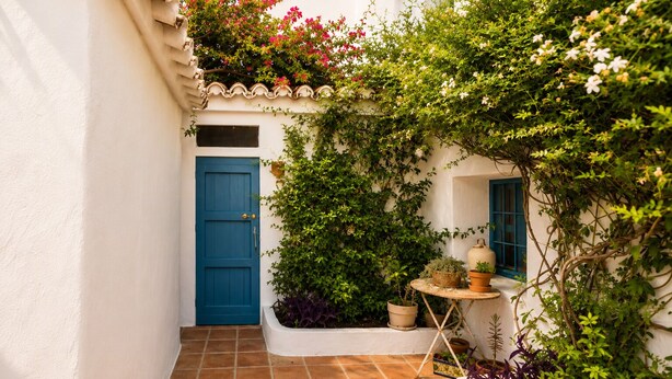 Un petit pati estret amb una porta blava, parets blanques i plantes en testos.