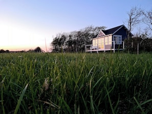 Ein Haus mit Veranda, umgeben von hohem Gras und Bäumen.