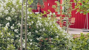 Un bâtiment rouge avec une fenêtre et une porte, entouré de verdure et d’arbres.