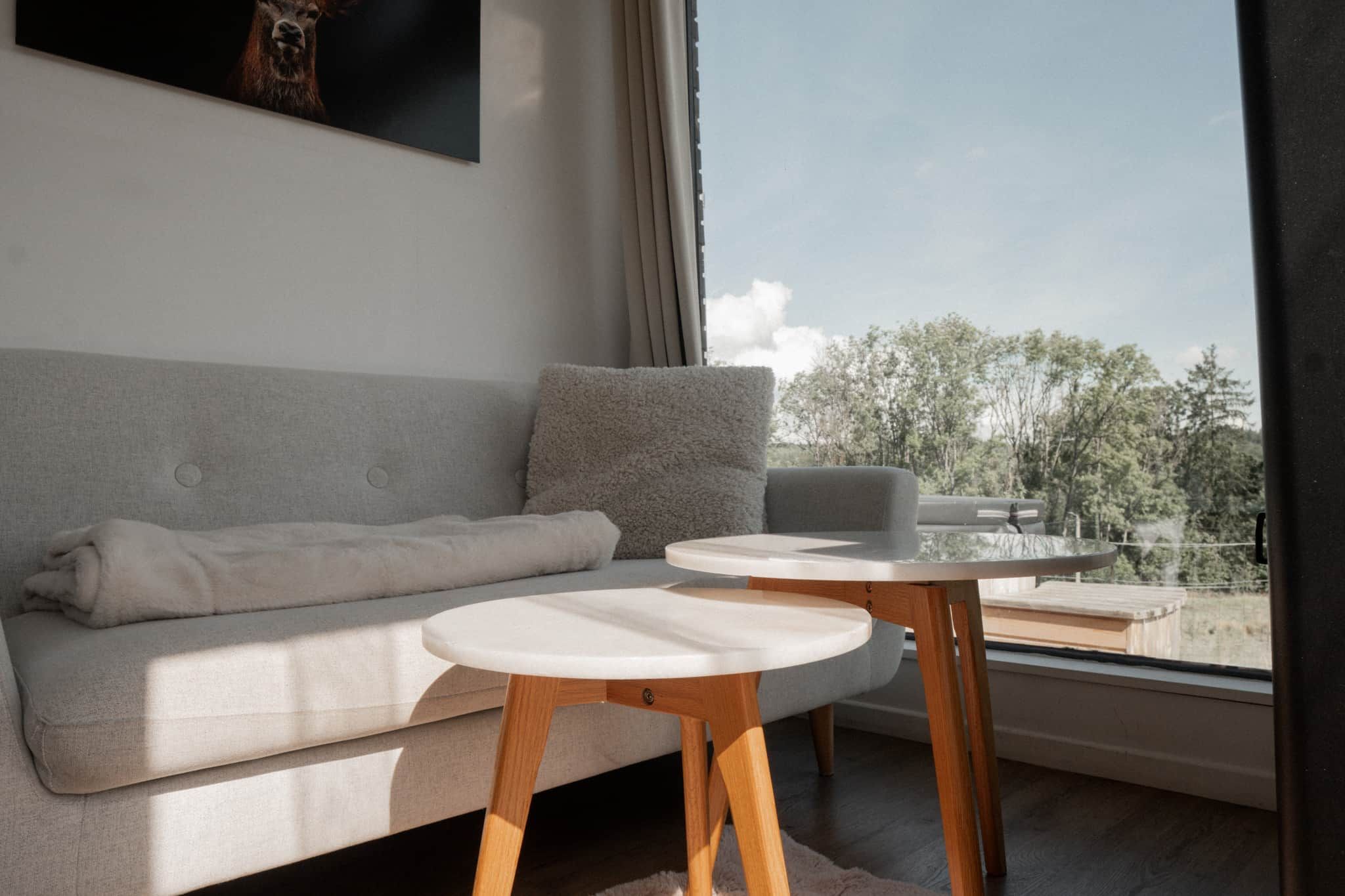 Een moderne woonkamer met een grijze bank, een klein rond tafeltje en een groot raam met uitzicht op bomen en een heldere lucht.