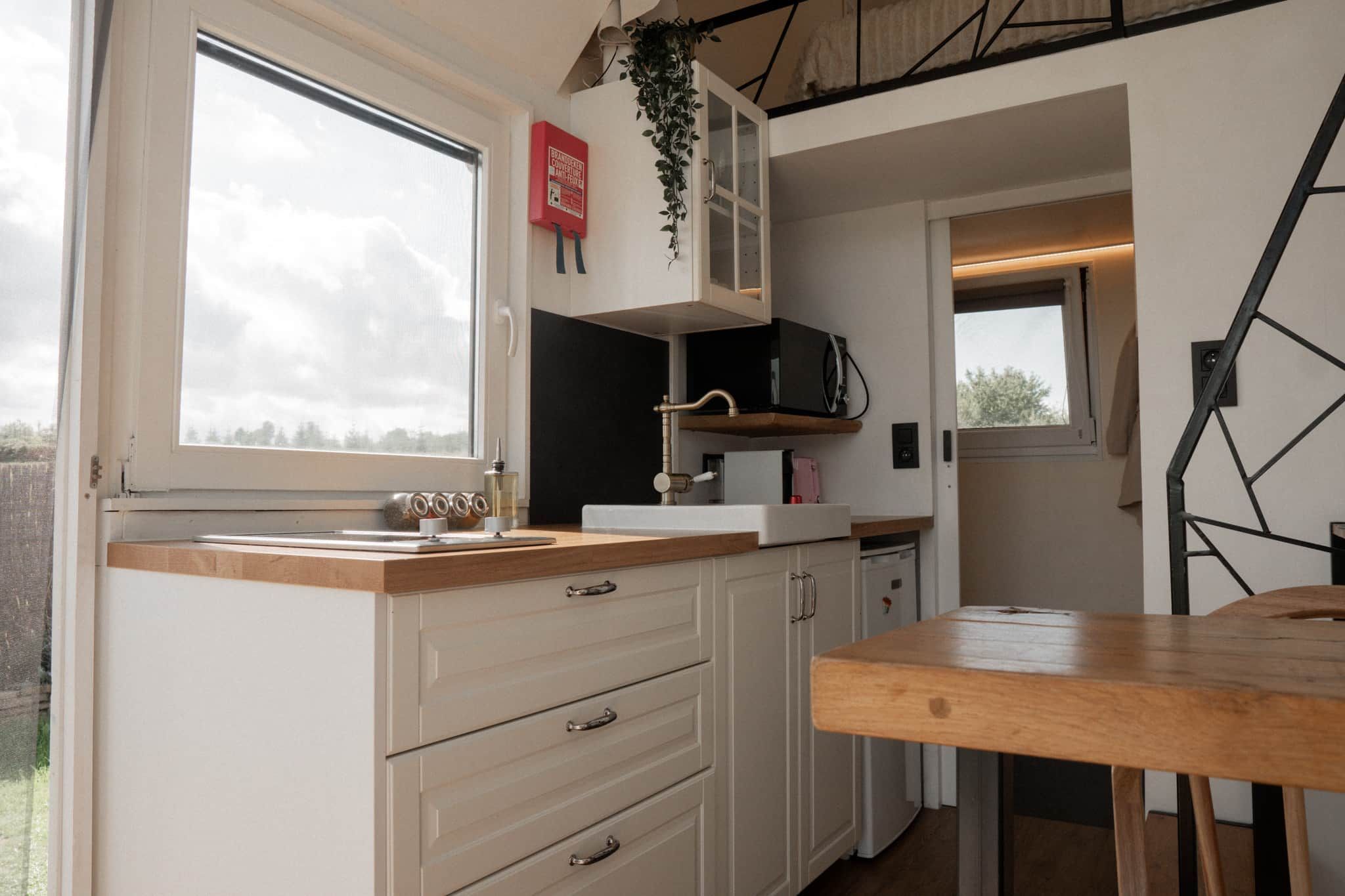 Eine moderne Küche mit Fenster, Holzarbeitsplatte, Schränken und einer hängenden Pflanze.