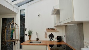 A modern kitchen with a skylight, a built-in oven, and a hanging plant. - Costa Rica - Tropical immersion (Profondeville)