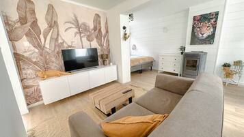Fernseher, Kamin