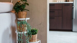 Interior - Le Bali - Zen & serenity (Profondeville)