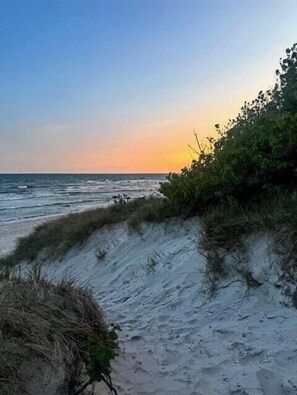 Une plage avec des dunes de sable et de la végétation.