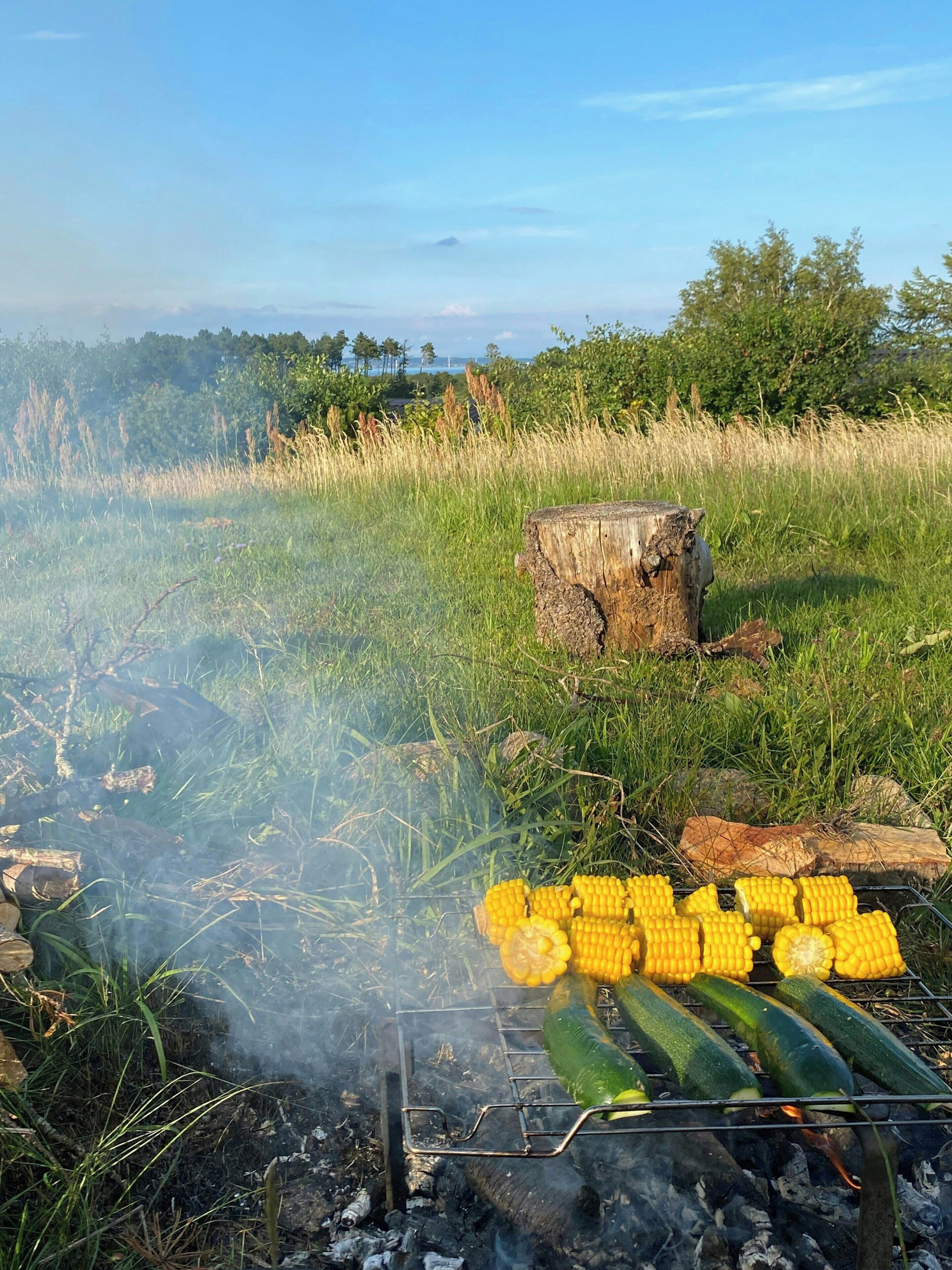 A grill with corn and zucchini in a grassy outdoor setting.