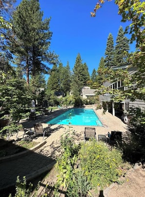 Une piscine rectangulaire entourée d’arbres et de mobilier d’extérieur.