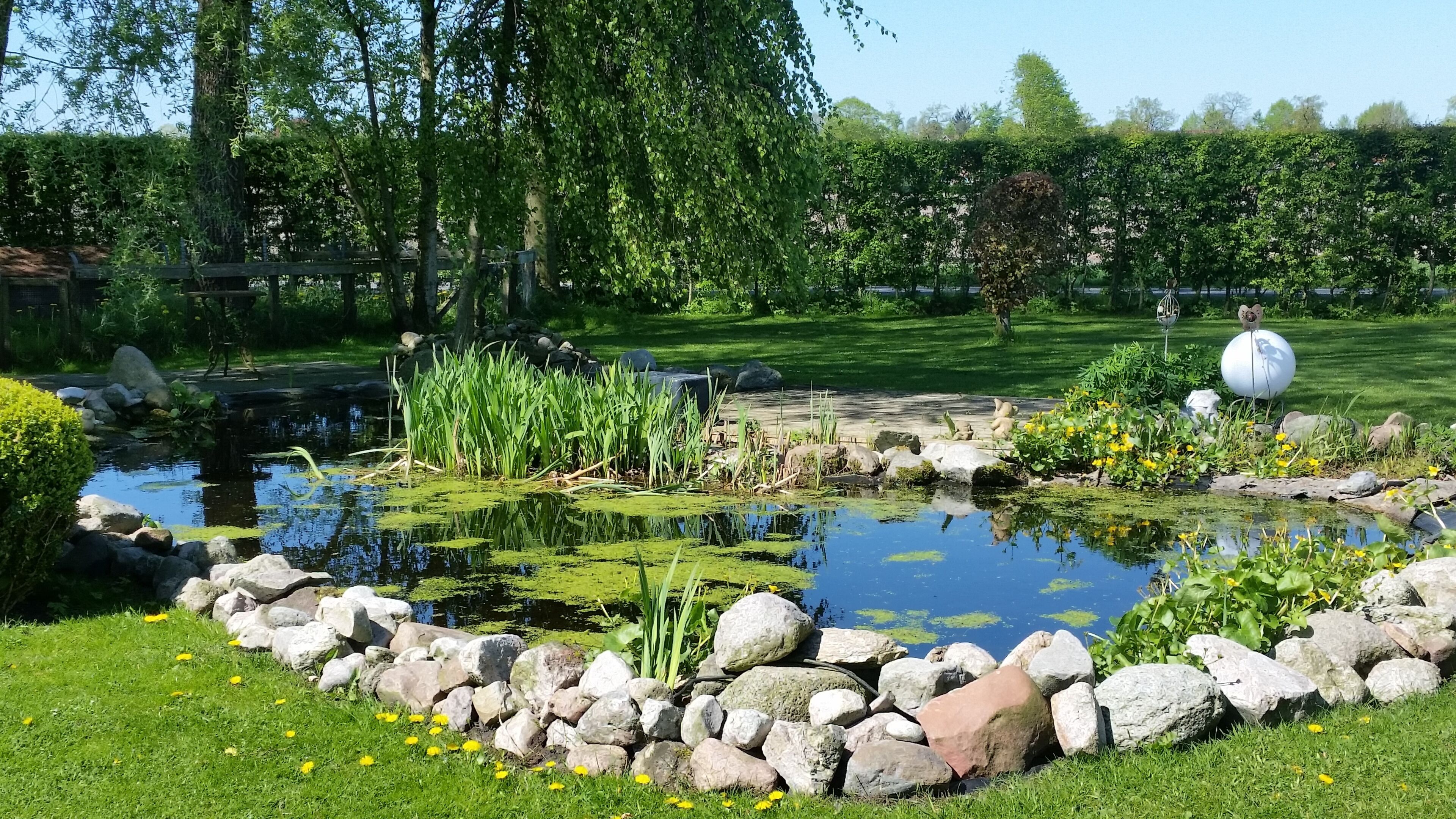 Terrein van de accommodatie