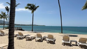 A beach with sun loungers, palm trees, and a clear view of the ocean.