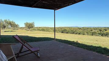 Terras