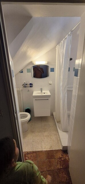 シャワー、タオル、石鹸、トイレットペーパー
