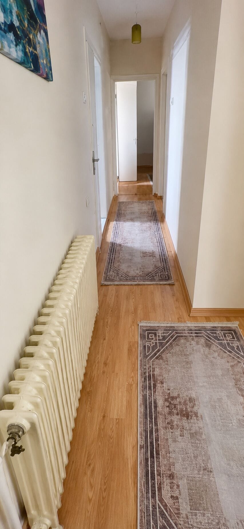 A hallway with a radiator, two rugs, and a door leading to another room.