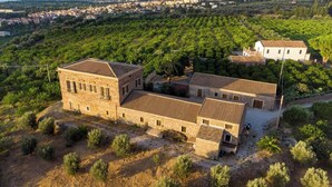 Un edificio de piedra con techo de tejas, rodeado por un viñedo, con un pueblo al fondo.