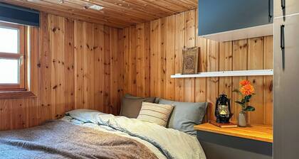 Mountain cabin with private dock by Søvatnet