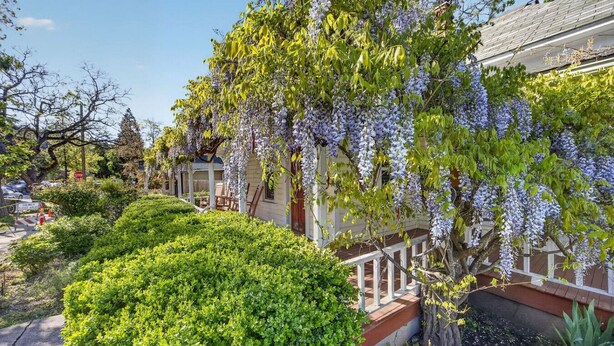 A garden with a white fence, green hedges, and purple flowering trees. - Whimsy on B | 2BR Steps to Downtown (Ashland)