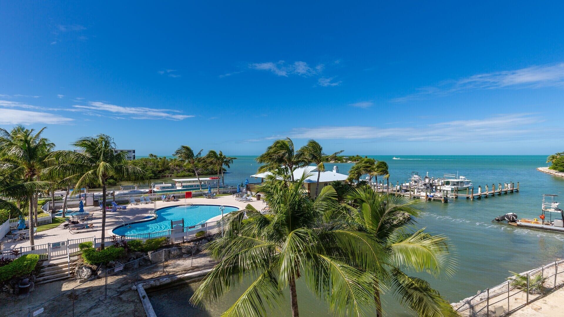 Un complexe hôtelier doté d’une piscine, de palmiers et d’un port de plaisance avec des bateaux.