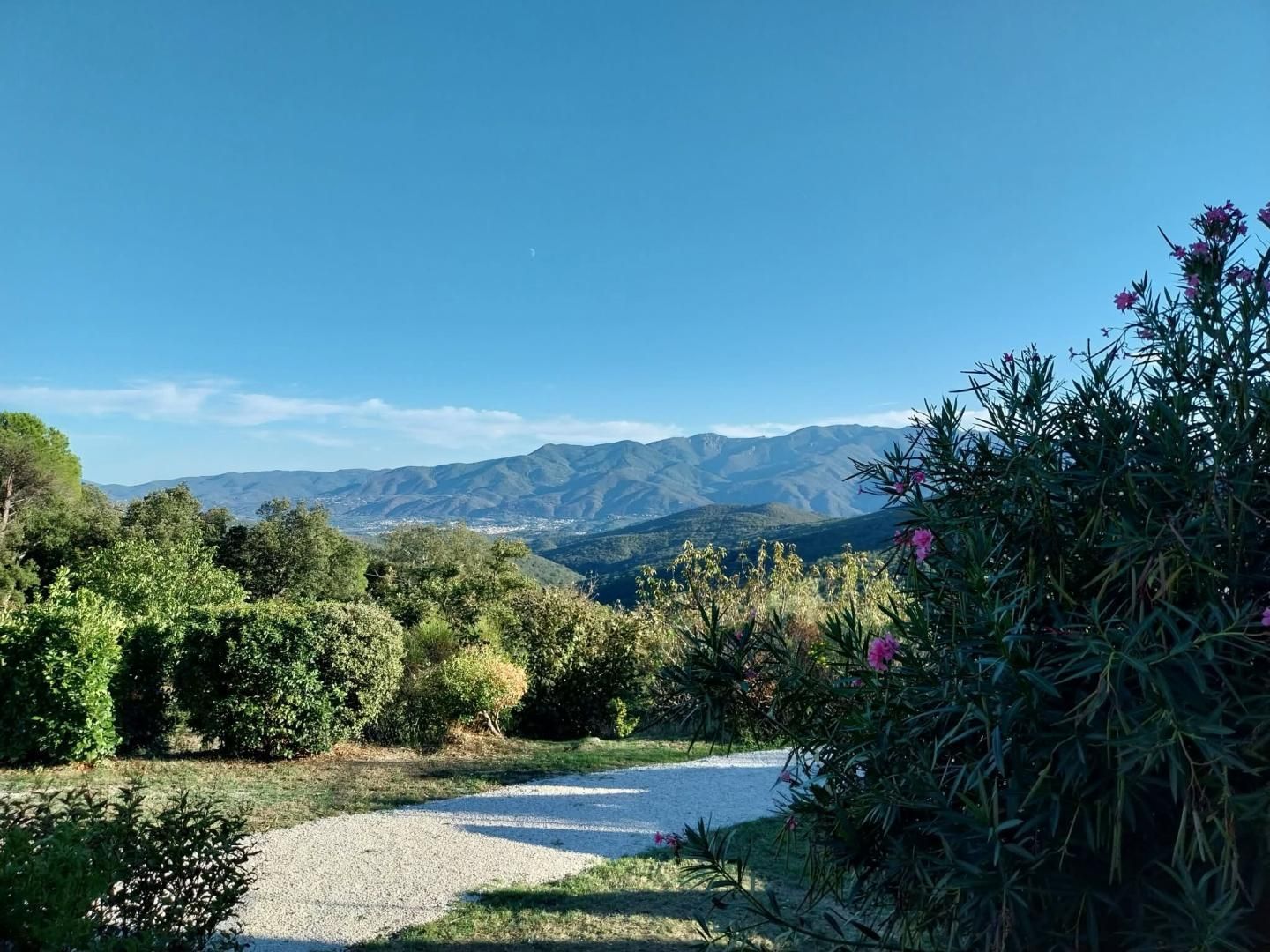 Un sentier de gravier traverse un paysage naturel, bordé d’une végétation luxuriante, avec des montagnes qui se dessinent à l’horizon.