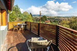 Outdoor dining - Modern birch chalet at Ruppberg (Zella-Mehlis)
