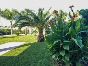 Ein gepflegter Garten mit einer Palme, einer Ananas und verschiedenen tropischen Pflanzen.
