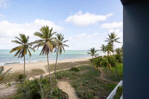 Blick auf einen Strand mit Palmen und einem sandigen Weg zum Wasser.