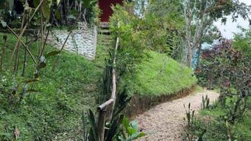 Habitación cuádruple económica, balcón | Jardines del alojamiento