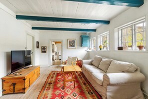 A living room with a television, sofa, and a patterned rug.