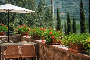 An outdoor seating area with wicker chairs and a table, surrounded by potted plants with red flowers, set against a stone wall with a view of trees and hills. - Apartment in farmhouse with terrace in Maremma (Massa Marittima)