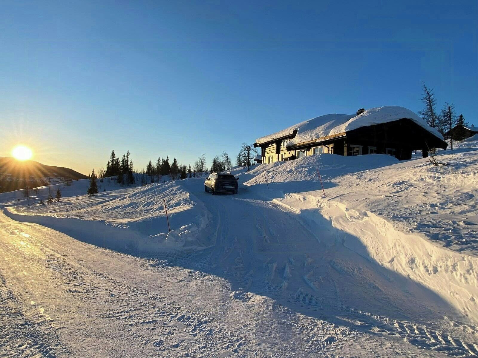 Eksteriør
