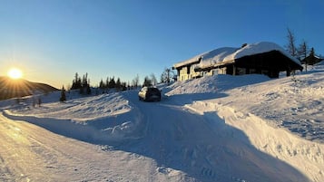 Eksteriør