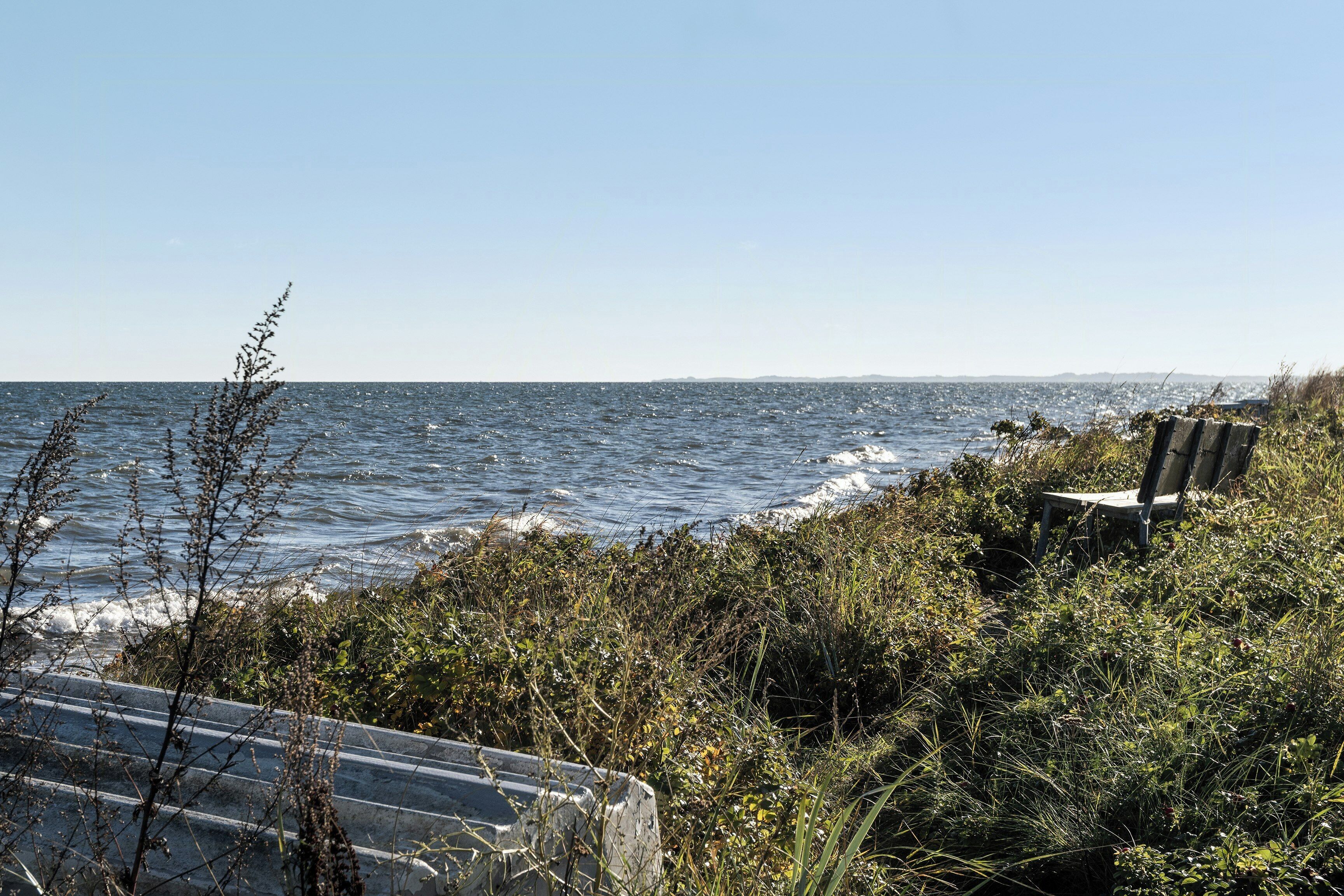 A coastal view with a chair and vegetation.