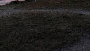 Paesaggio costiero con un primo piano erboso e un tramonto sull'oceano.