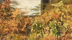 A building with a large reflective glass window, surrounded by overgrown vegetation. - Mini house with sandy beach and sauna (Olofstorp)