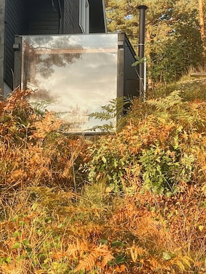 Ein Gebäude mit einem großen, spiegelnden Glasfenster, umgeben von üppigem Grün.