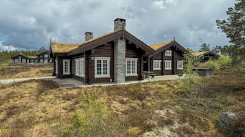 Eksteriør