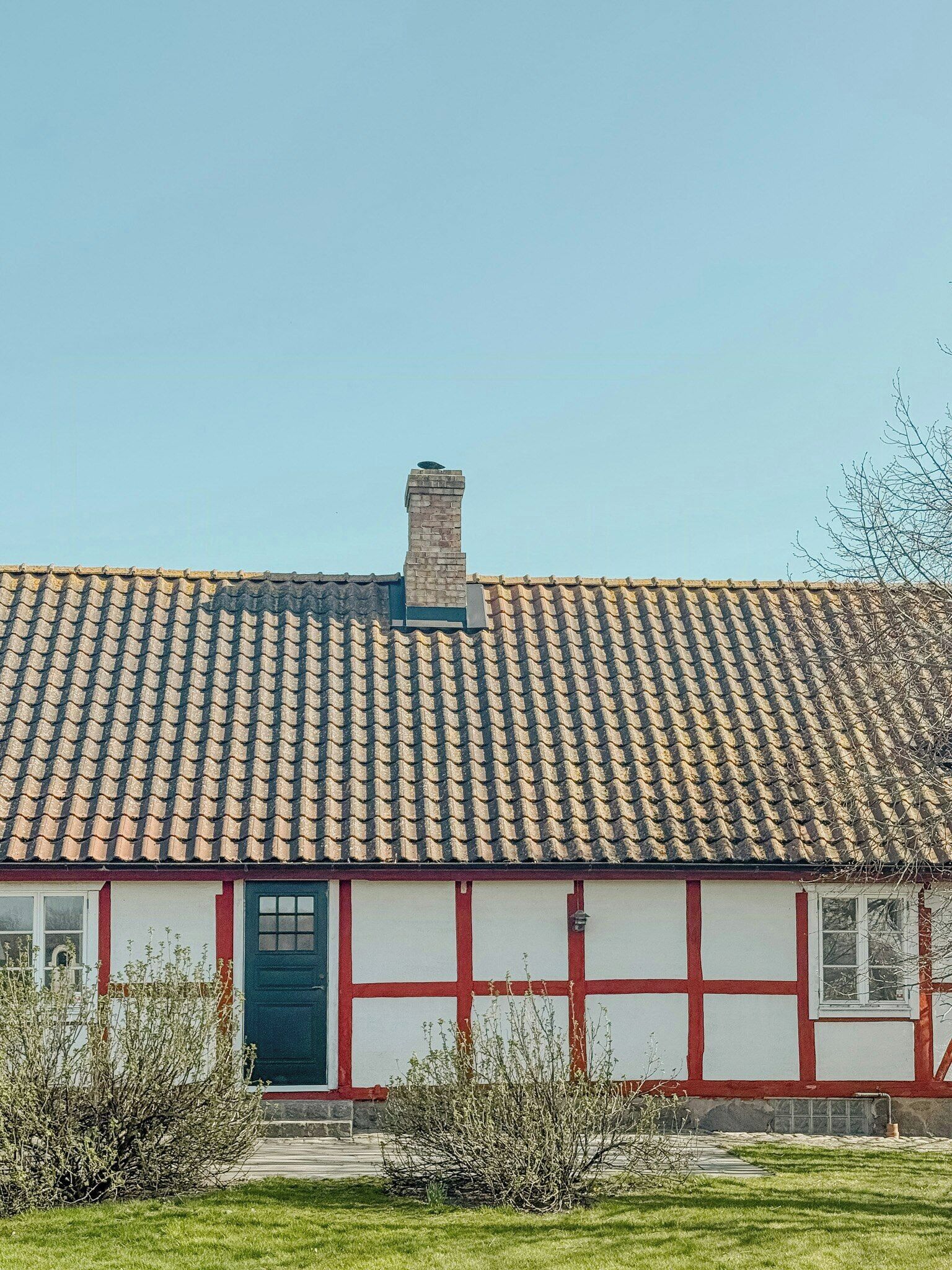 Eksteriør