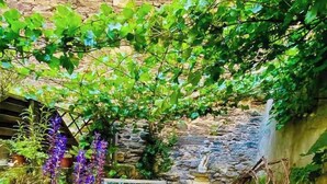 Ein Holztisch mit Kissen, ein Stuhl, ein Blumentopf und eine Steinwand mit einem kleinen Wasserfall.