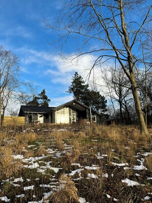Una moderna casa con un'ampia finestra, circondata da alberi e neve.