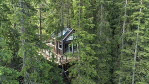 Exterior - Unique treetop cabin in forest, Lårdal (Høydalsmo)