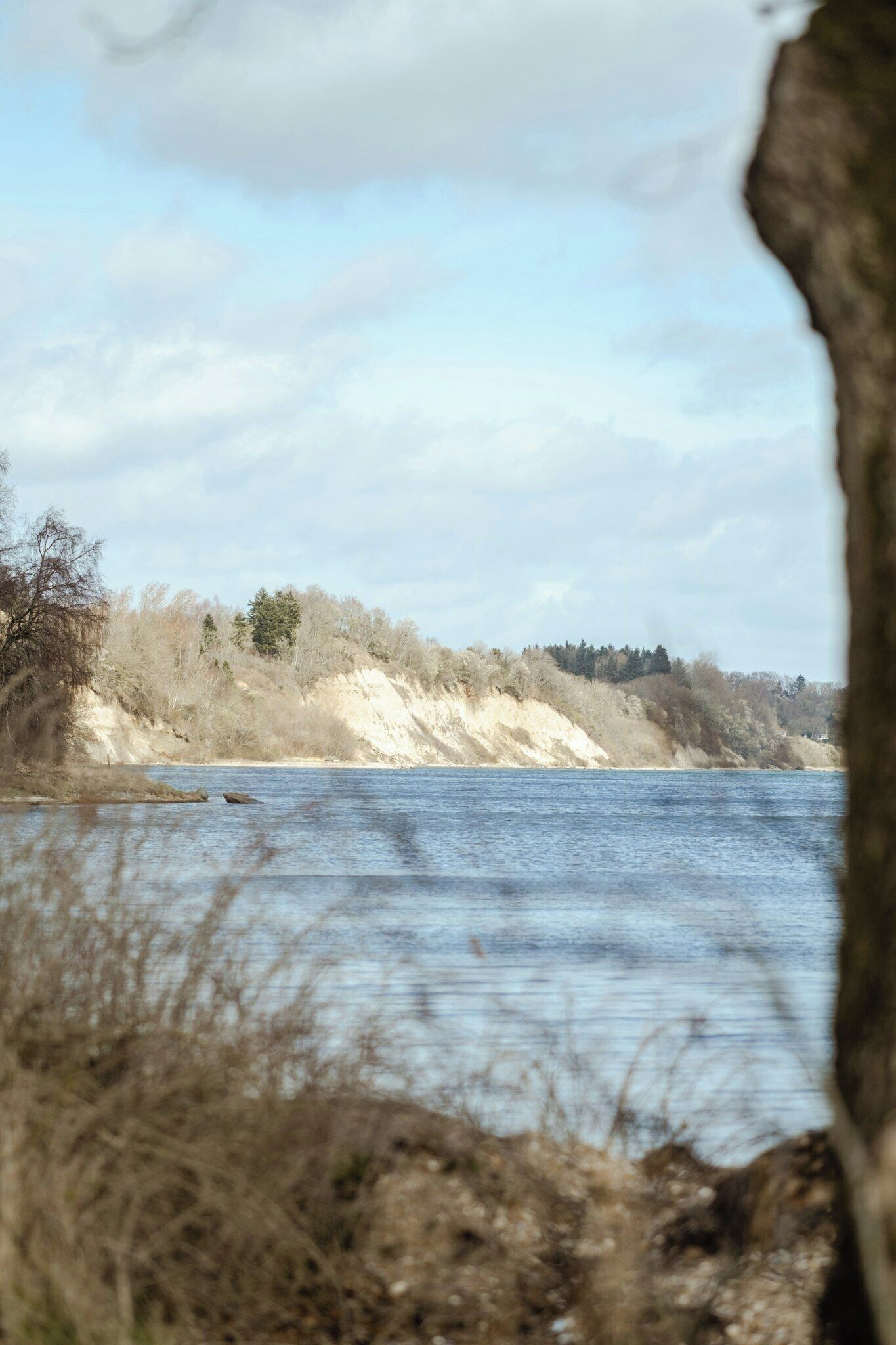 Ein Fluss mit sandigem Ufer und Bäumen im Hintergrund.