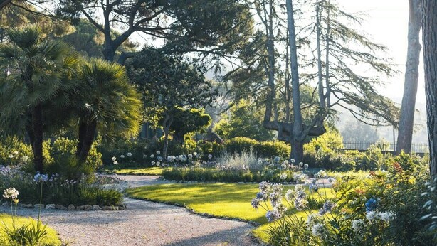 Un sentiero di giardino con diverse piante e alberi.