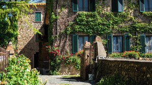 Un edificio in pietra con persiane verdi, una scala in pietra e un giardino con fiori rossi.