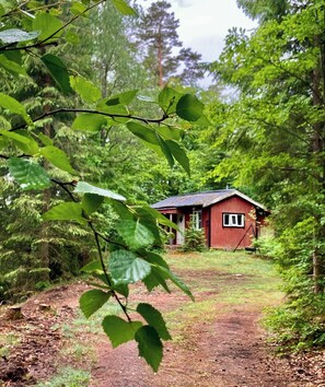 A rustic cabin surrounded by dense forest, with a dirt path leading to it. - Off-grid cabin in your private Swedish forest (Simlångsdalen)