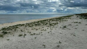 A beach with sand and sparse vegetation, a clear sky with clouds, and a calm sea. - Holiday home by Ålbæk Beach for the whole family (Ålbæk)