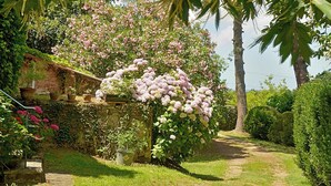 Un jardin avec un mur de pierre, des plantes en fleurs et un sentier.
