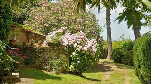 Ein Garten mit einer Steinmauer, blühenden Pflanzen und einem Weg.